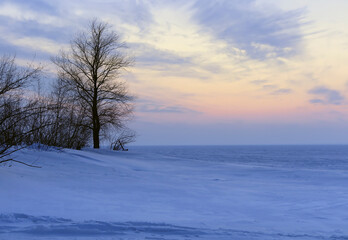 Fototapeta na wymiar Evening on the winter shore of the reservoir.
