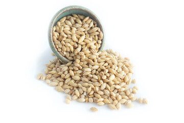 Organic Hulled Barley Grains Spilling out of a Green Pottery Bowl Isolated on White