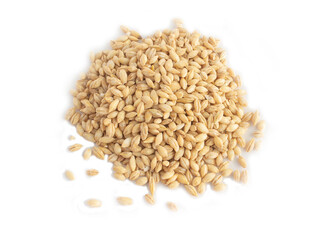 Organic Barley Grains in Heap or Pile in Top Down or Flat Lay Shot Isolated on White