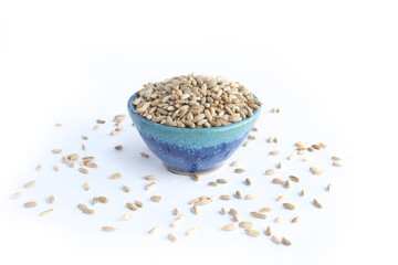 Organic Rye Seeds or Berries in and Scattered around Blue Pottery Bowl Isolated on White