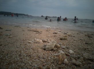Obraz premium walking on the beach