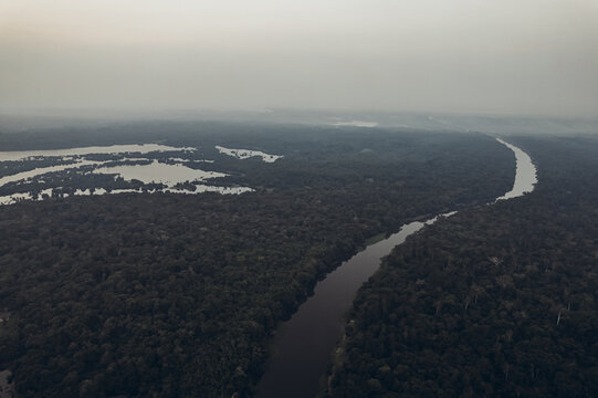 Amazon jungle.