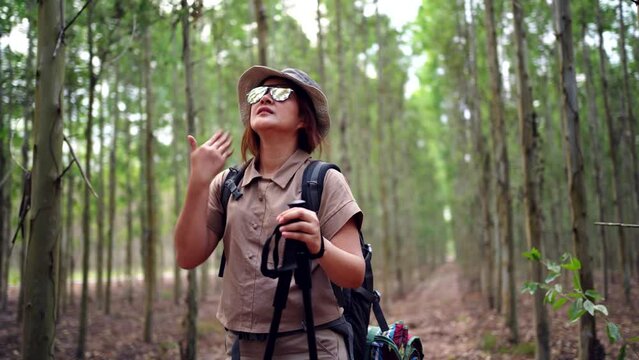 Asian woman hiking trail and trekking in the forest alone. Travel and outdoor activity. Relax and recreation in autumn holiday.