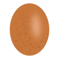Vector image of one chicken egg
