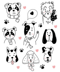 Collection of pets.Portraits of Cute dogs of different breeds - boxer, lapdog, poodle and great dane, mongrel and pinscher. Vector illustration. Isolated line drawings in doodle for design and decor