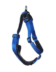Blue dog harness isolated on white. Pet accessory