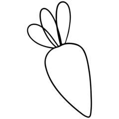 Easter Carrot hand drawn doodle outline design illustration for web, wedsite, application, presentation, Graphics design, branding, etc.