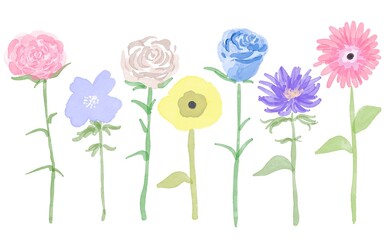 水彩画。水彩で描いたさまざまな花のイラスト。ガーベラやバラの単体イラスト。一輪の花。Watercolor painting. Illustrations of various flowers painted in watercolor. A single illustration of a gerbera or a rose. A single flower.