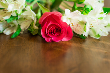 pink roses on wooden background