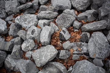 Rocks and leaf's