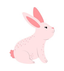rabbit cute cartoon