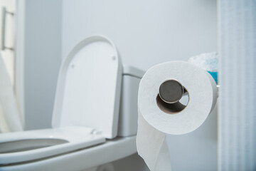 Restroom with Fresh Roll of Toilet Paper