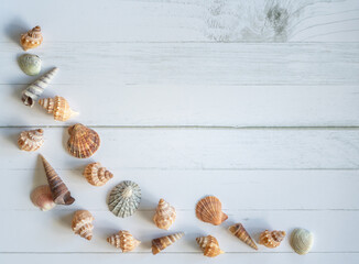 Assortment of Shells Laid Out of White Wooden Table with Copy Space