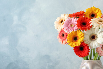 Bouquet of beautiful colorful gerbera flowers in vase on light blue background. Space for text