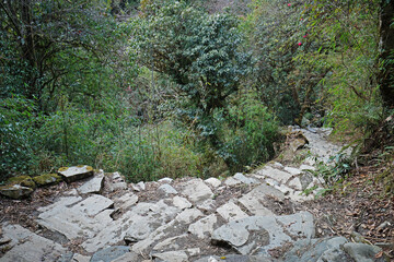 Rocky trail steps among natural landscape of green rainforest park