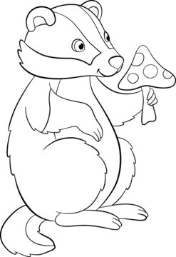 Coloring page. Little cute badger sits and holds an amanita in the hands.