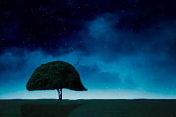 Beautiful scenery of big tree on meadow at night