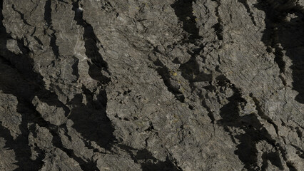 earth or rock surface texture