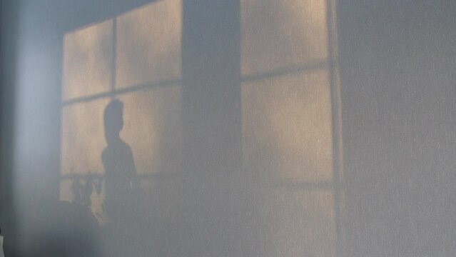 Shadow of child jumping on couch. White wall shadow from window and sulight