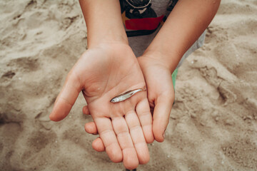 Children's hands hold a small fish. Fisher boy. Weekend in nature