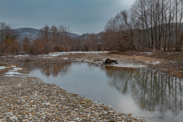 Trees are reflected in the water. A cloudy day in the foothills of the Caucasus. A rare forest with...
