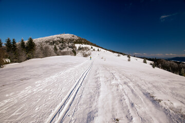 winter walk in the snowy mountains