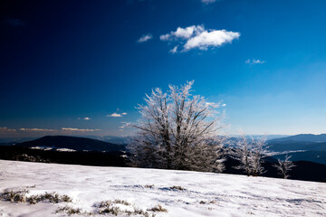 winter walk in the snowy mountains