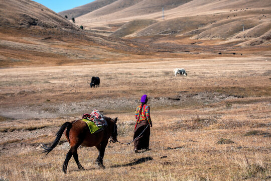 Sichuan ganzi autumn scenery with a herdswoman