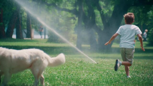 Cheerful little kid running from adorable pet at water sprinklers in summer park