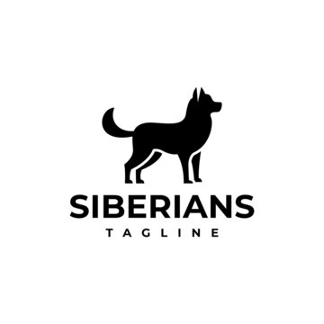 illustration vector graphic template of siberians silhouette logo