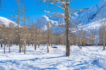 White snow covered Lahaul valley in Himachal pradesh, India. Brown woods and whilte snow capped mountains creates a winter fairyland. Magical winter wonderland lahaul valley in December and January