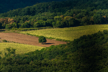 Fototapeta na wymiar Monoszlo country side aerial view. Hungarian summer rural landscape.