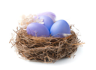 Fototapeta na wymiar Three purple eggs in a nest with a feather and flowers isolated on a white background.
