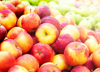 Red apples, great design for any purposes. Vegetarian healthy food. Natural organic nutrition. Healthy food set.  Natural background. Bright design. 