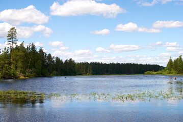 Summer fishing on the Rybinsk reservoir, nature.