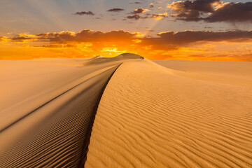 Naklejka premium Sunset over the sand dunes in the desert. Arid landscape of the Sahara desert.