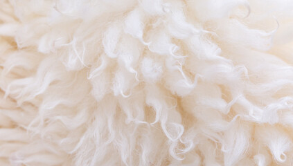 White animal fur. Weasel or cat hair. Fur clothes, white fur coat close up. Eco-wool, eco-leather...