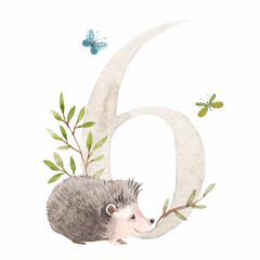 Beautiful stock illustration with watercolor hand drawn number 6 and cute hedgehog animal for baby clip art. Six month, years.