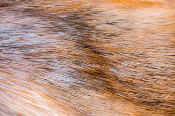 Fox fur close up. Redhead animal fur background, fur pile texture. Eco-wool, eco-leather artificial fur.