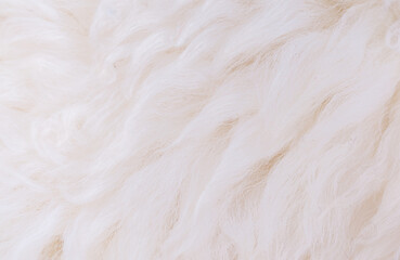White animal fur. Weasel or cat hair. Fur clothes, white fur coat close up. Eco-wool, eco-leather artificial fur.
