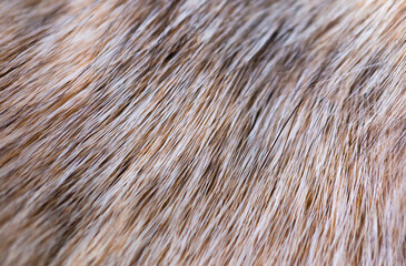 Fox fur close up. Redhead animal fur background, fur pile texture. Eco-wool, eco-leather artificial fur.