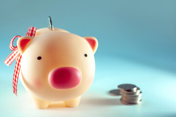 cute piggy bank on a blue background with a coin