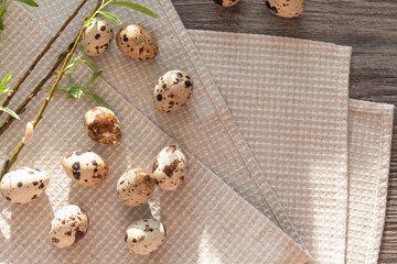 Quail eggs and a green willow branch are on a linen napkin, on a gray and wooden table.