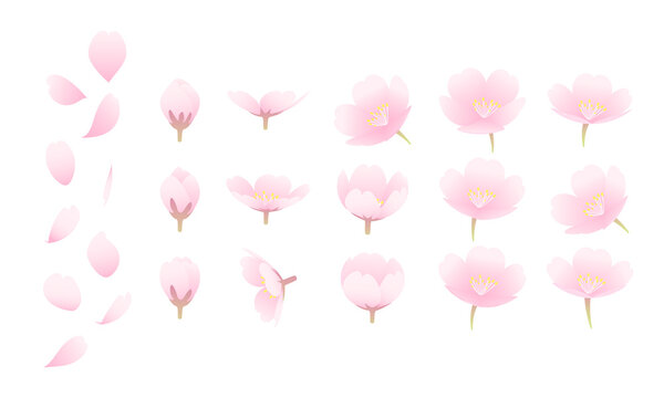 Drawings Of Four Seasons Images Browse 7 664 Stock Photos Vectors And Video Adobe Stock