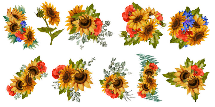 Sunflowers, poppies, cornflowers, daisies. Big set, autumn colors, sunflowers, botanical painting. Bouquets, compositions, frames. Wedding invitations, stationery, congratulations
