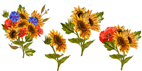 Sunflowers, poppies, cornflowers, daisies. Big set, autumn colors, sunflowers, botanical painting. Bouquets, compositions, frames. Wedding invitations, stationery, congratulations