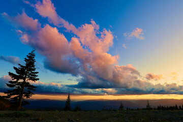 Obraz na płótnie Canvas Mount Shasta View from the top - California
