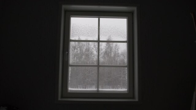 Strong wind blowing into winter forestry landscape, view through window from inside