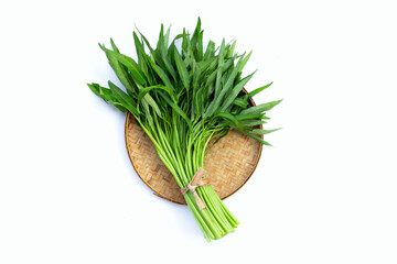 Morning glory on white background.