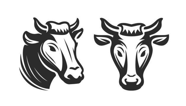 Cow head logo. Emblem for Butcher shop, dairy farm, meat market and packaging